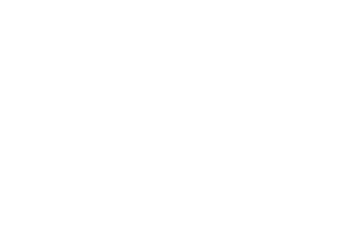 Feedy